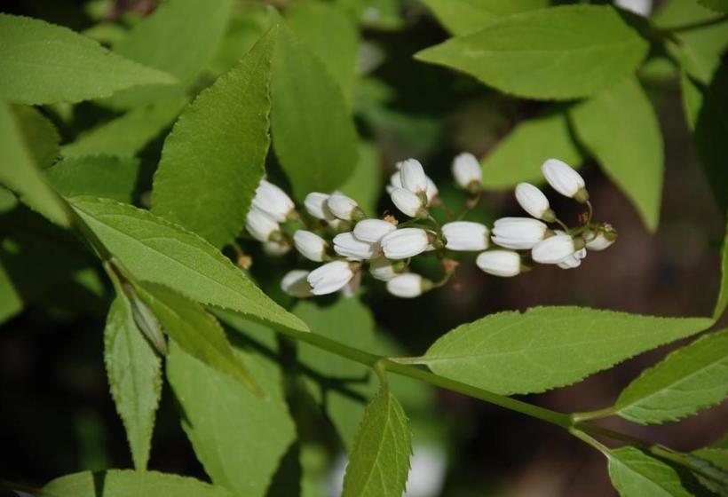 فندق Landhaus Brieger