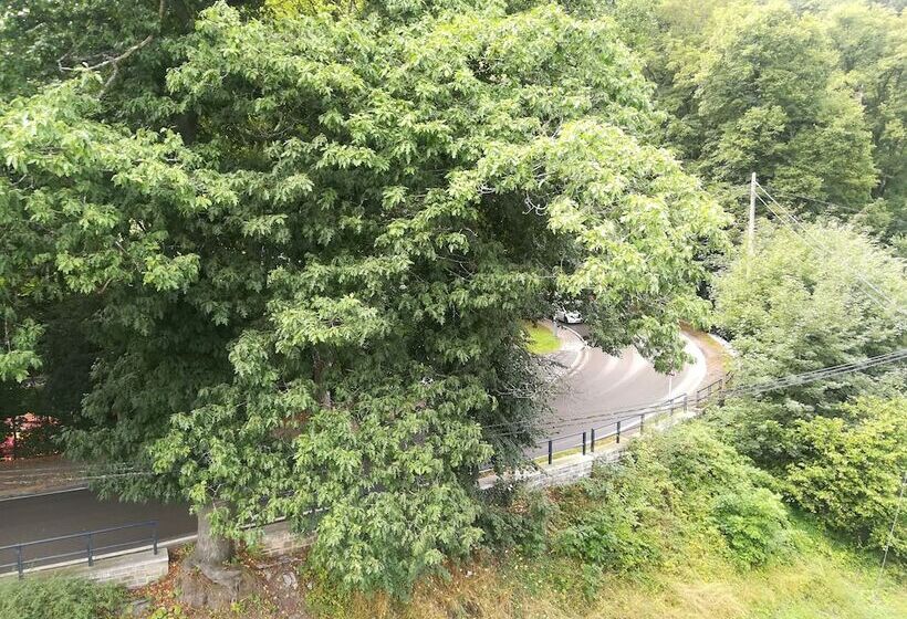 Отель Le Liège