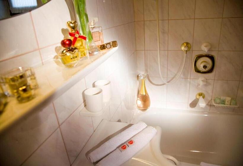 هتل Magdalena Mayrhofen