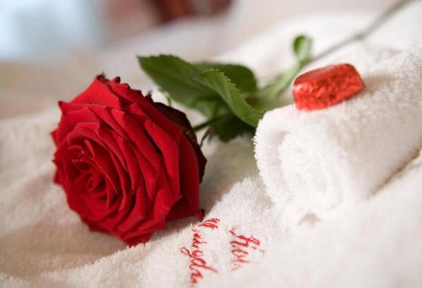 هتل Magdalena Mayrhofen