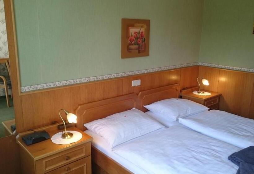 Отель Pension Frühwirth