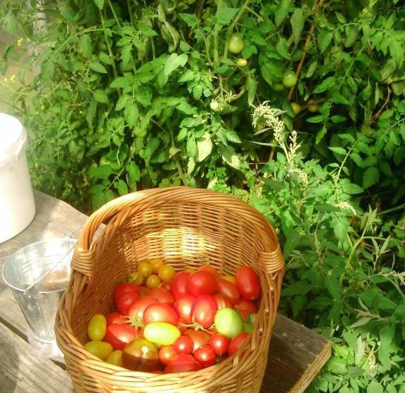 Отель Pension Frühwirth