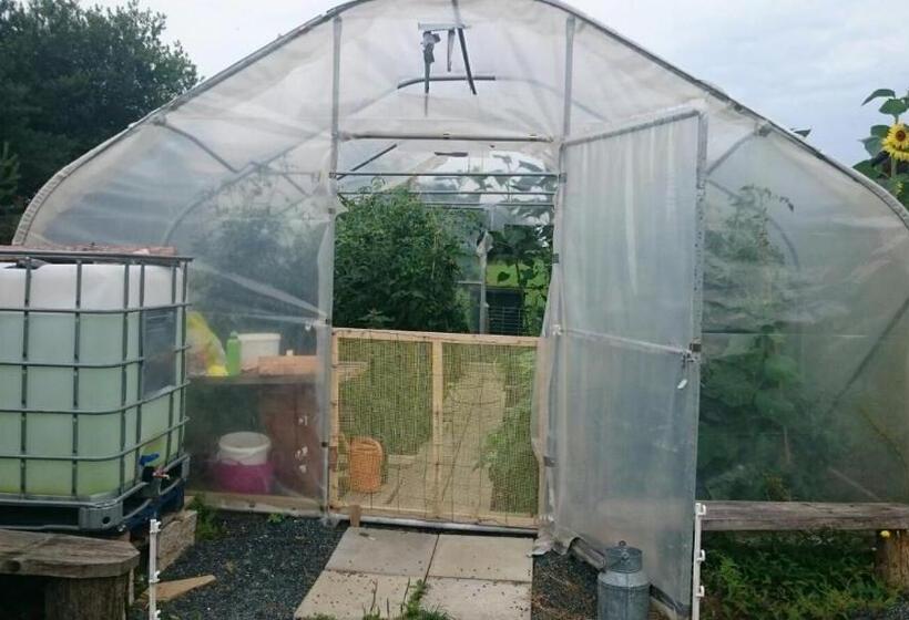 Отель Pension Frühwirth