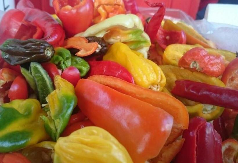 Отель Pension Frühwirth