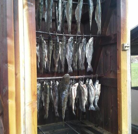 Отель Pension Frühwirth