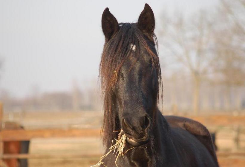 فندق Peralta   Adults Only