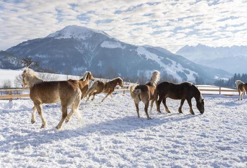 בית מלון כפרי Wohlfühlresort Peternhof