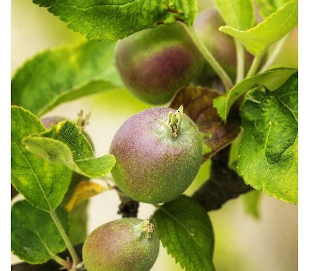 فندق Restaurant Vous Lé Vous