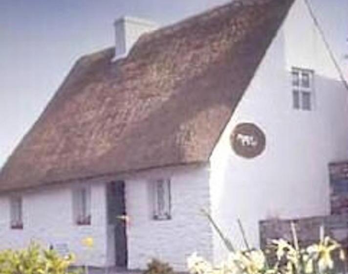 Michaeleen's Manor B&b