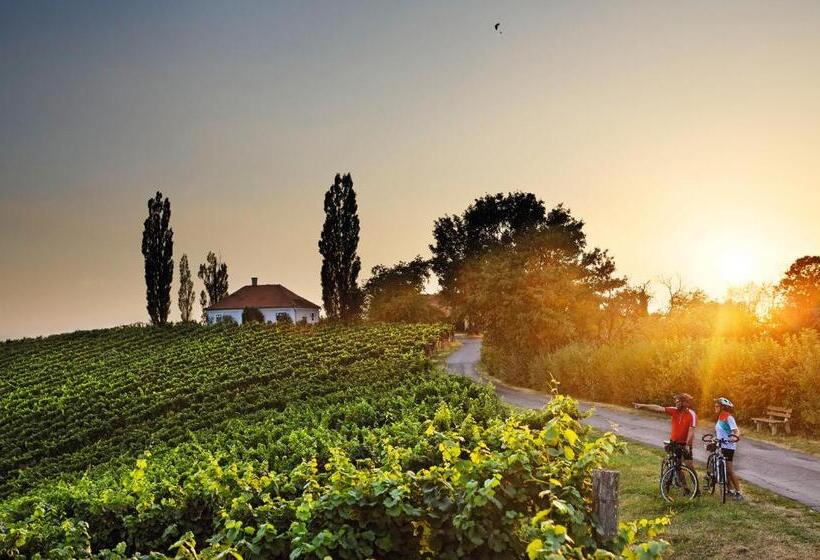 Sporer Stadthotel Bad Radkersburg