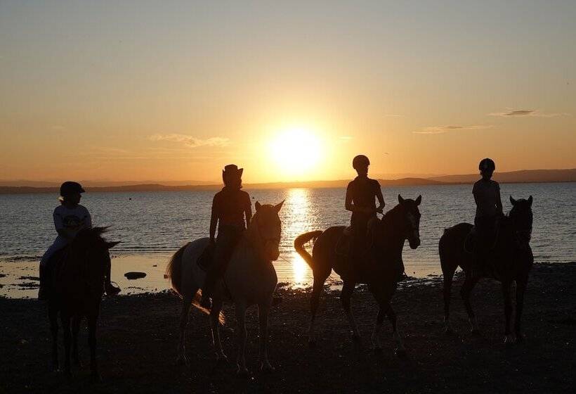 Sporthotel Podersdorf