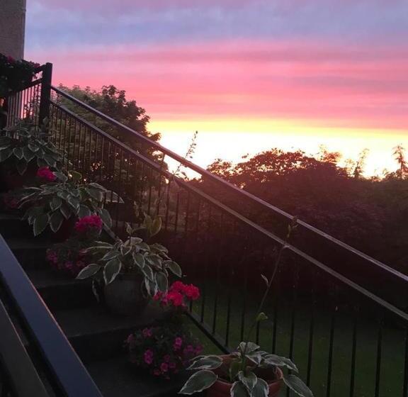 The Meadows Bed And Breakfast