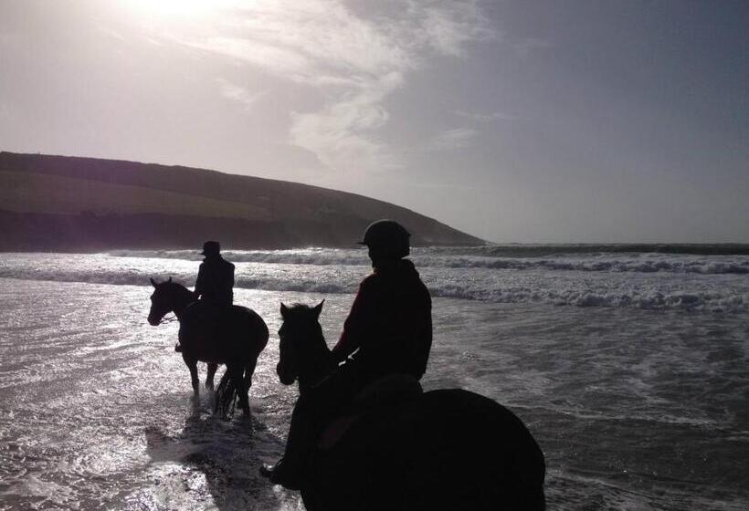 The Well Bed & Breakfast