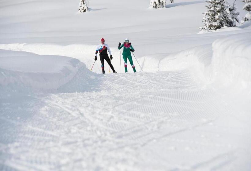 Alpenblick Apartments Montafon By A Appartments