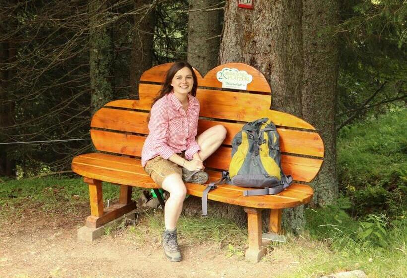 Alpenhotel & Aparthotel Lanz