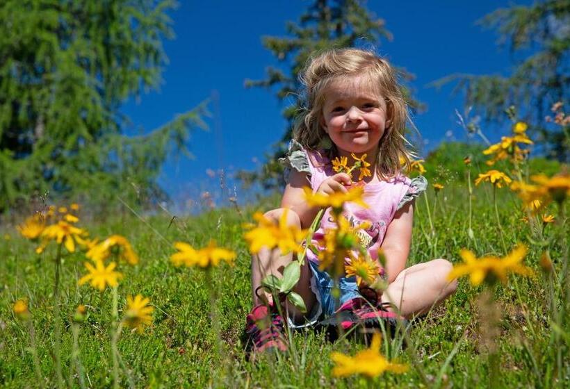 Alpenhotel & Aparthotel Lanz