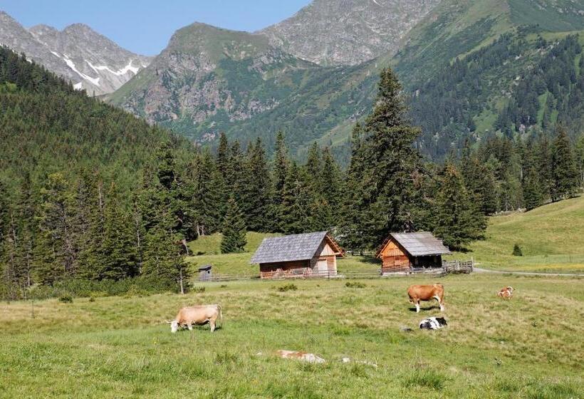 Alpenhotel & Aparthotel Lanz