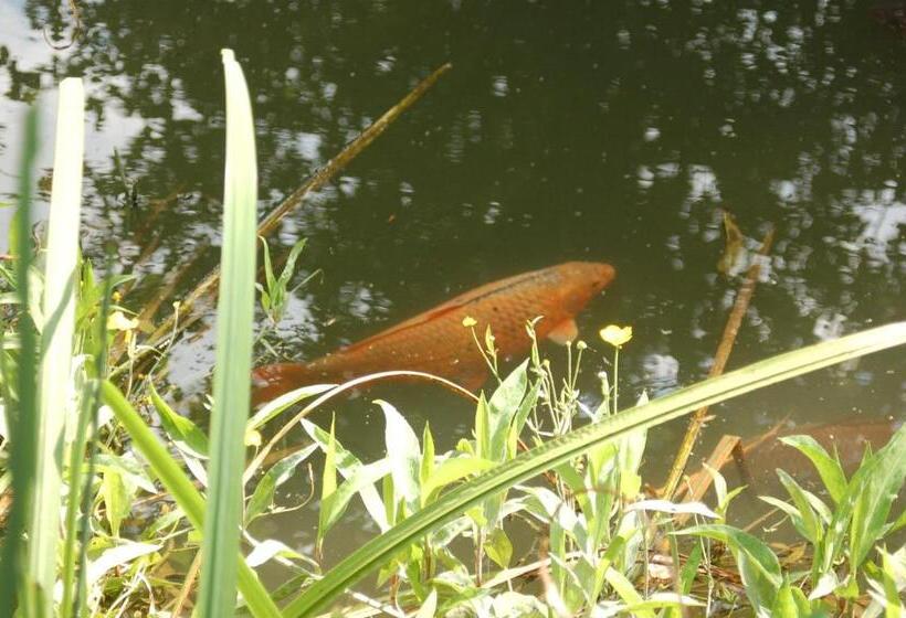 B&b Het Groote Genoegen