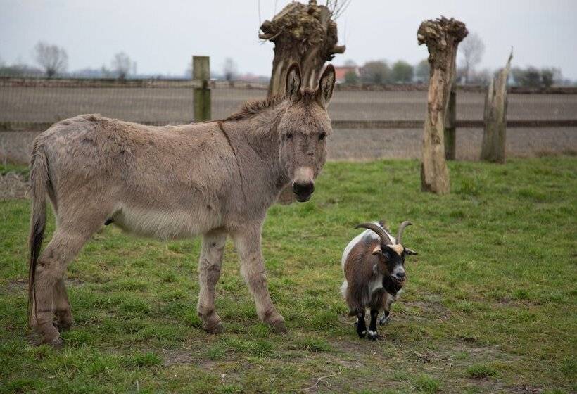 B&b Het Schaliënhof