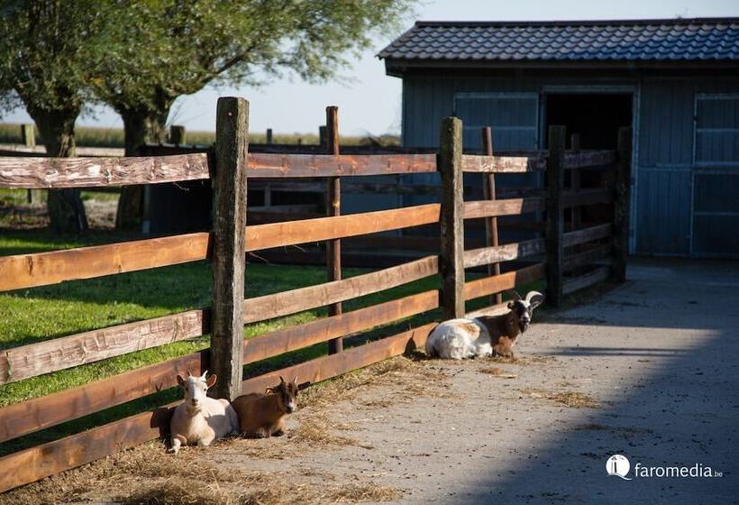 B&b Het Schaliënhof