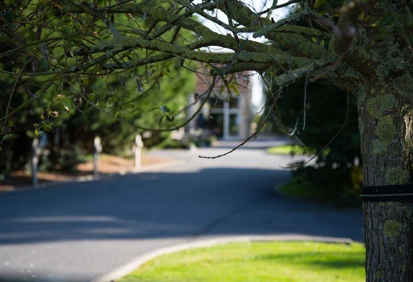 B&b Het Schaliënhof