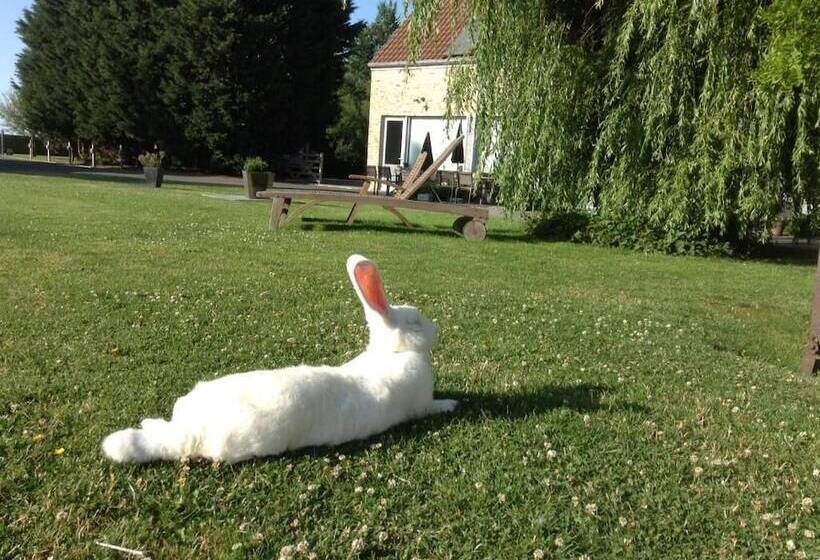 B&b Het Schaliënhof