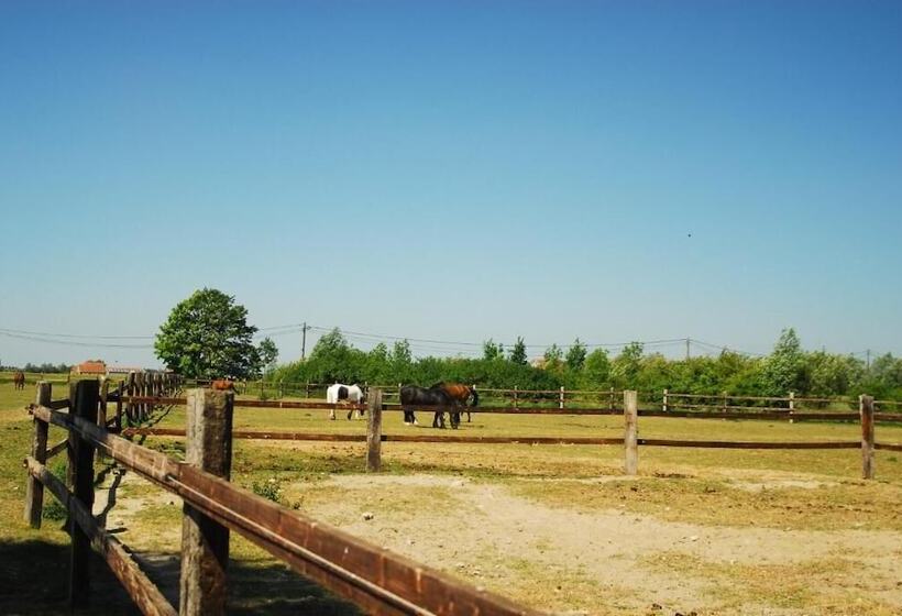 B&b Het Schaliënhof