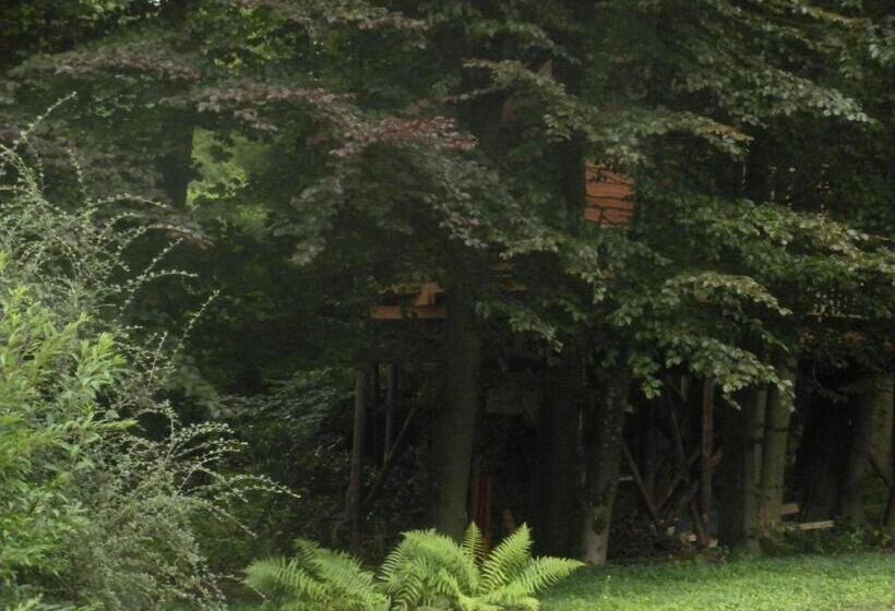 B&b La Cabane Du Bois Dormant