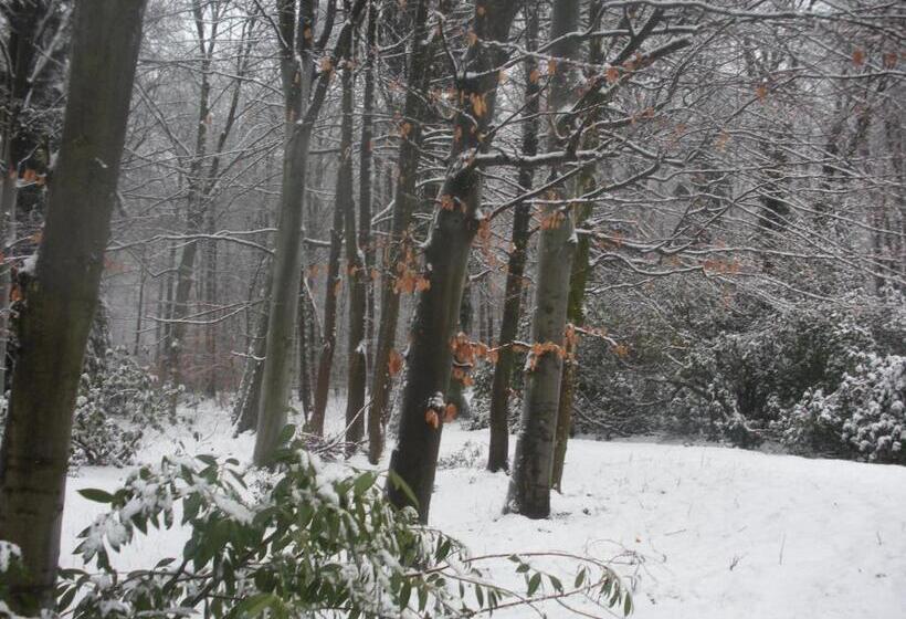 B&b La Cabane Du Bois Dormant