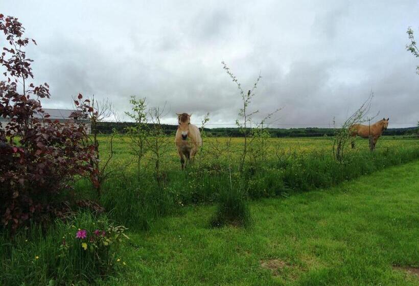B&b La Ferme Du Doux
