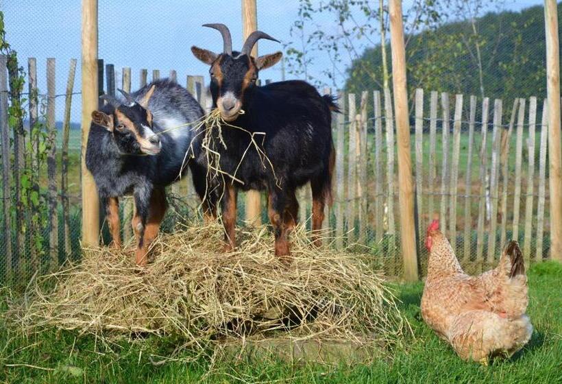 B&b La Ferme Du Doux