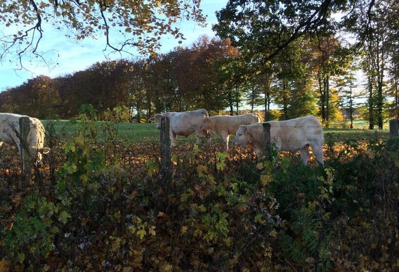 B&b La Ferme Du Doux