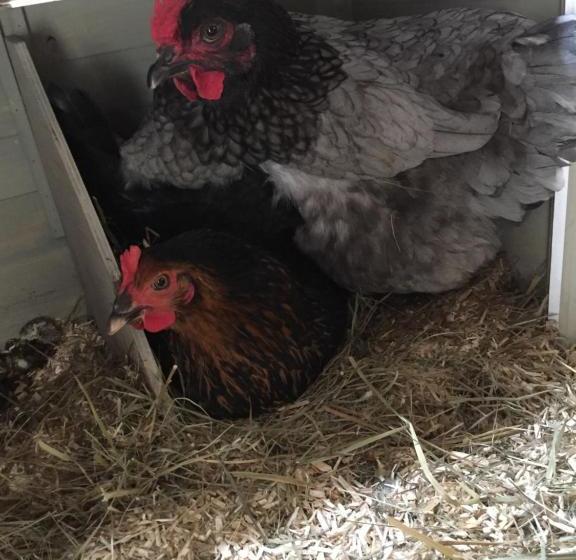 Bed and Breakfast La Vigie, Spa