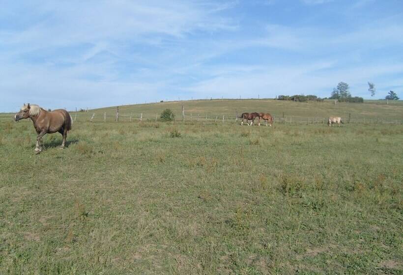 Willow Spring Way Station Bed & Breakfast