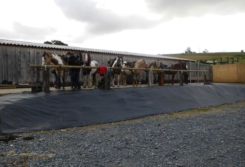 Willow Spring Way Station Bed & Breakfast