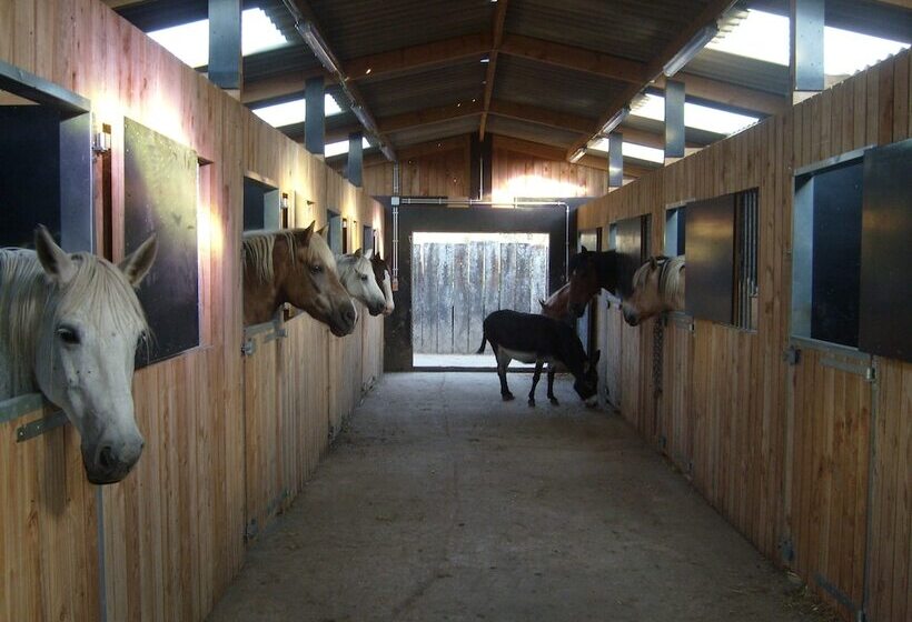 Willow Spring Way Station Bed & Breakfast