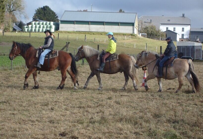 Willow Spring Way Station Bed & Breakfast
