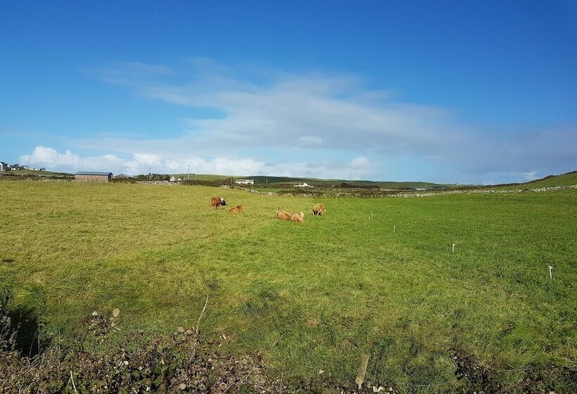 Bed and Breakfast Blackberry Lodge Accommodation