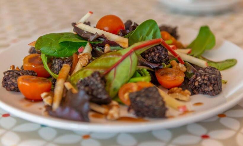 住宿加早餐  Dingle Marina Lodge