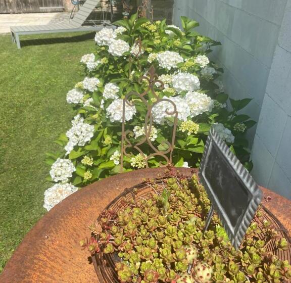 Bed and Breakfast Domizil Gols, Boutique