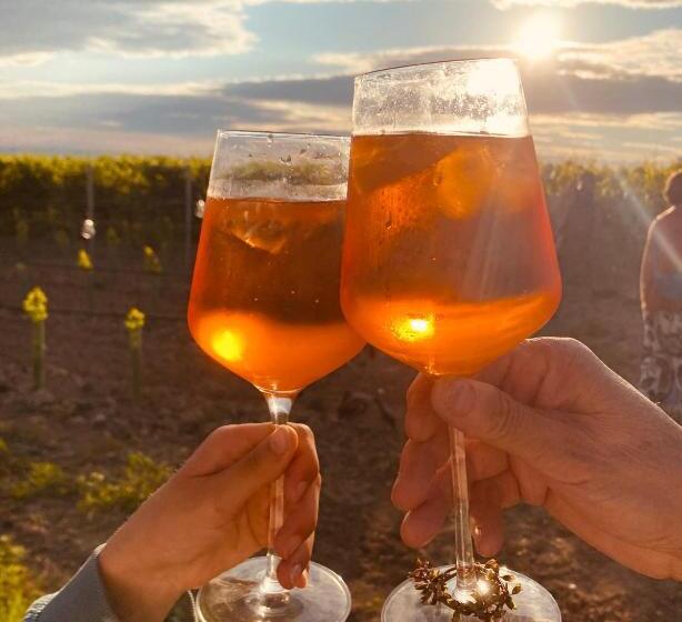 Bed and Breakfast Domizil Gols, Boutique