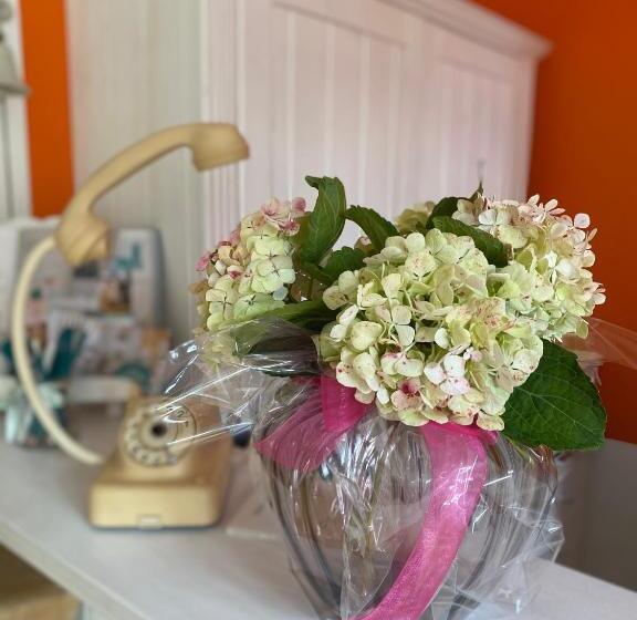 Bed and Breakfast Domizil Gols, Boutique