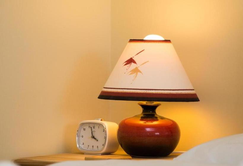 住宿加早餐  Driftwood