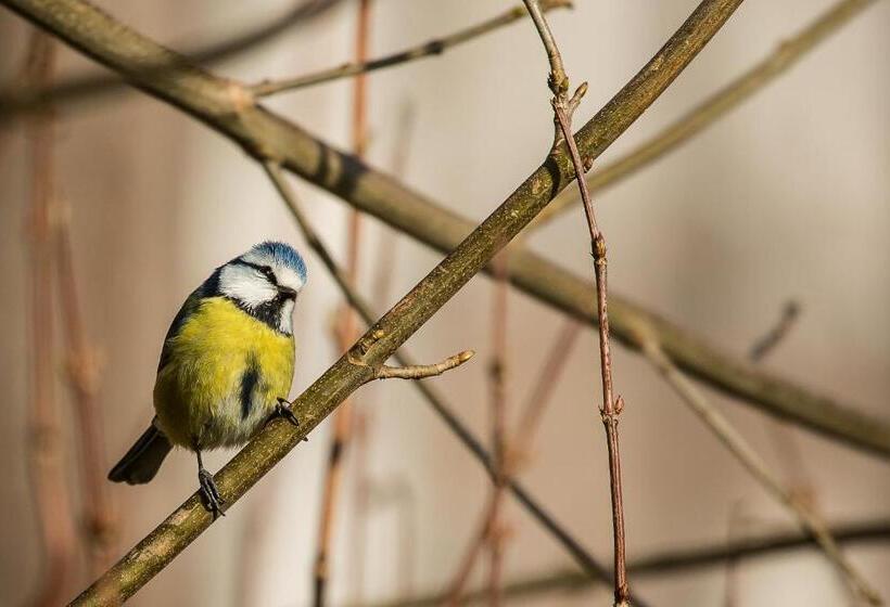 צימר Ferme Des Templiers