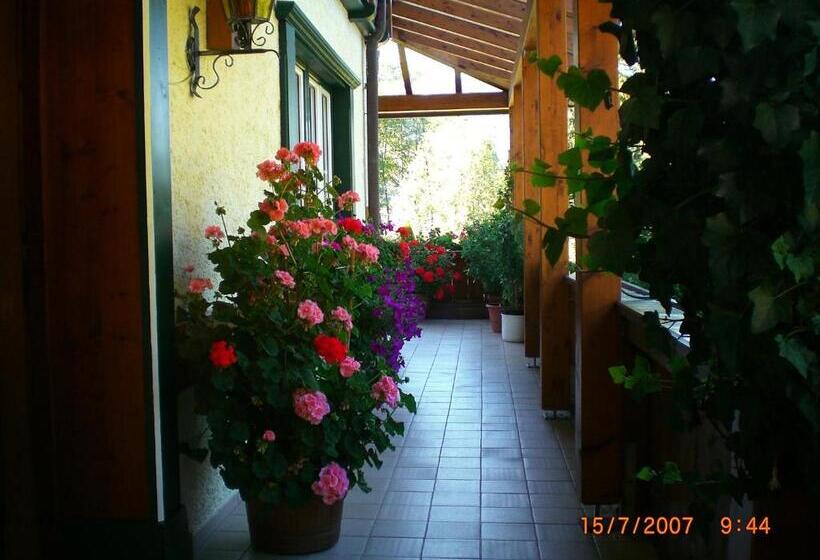 مبيت وإفطار Haus Alpina