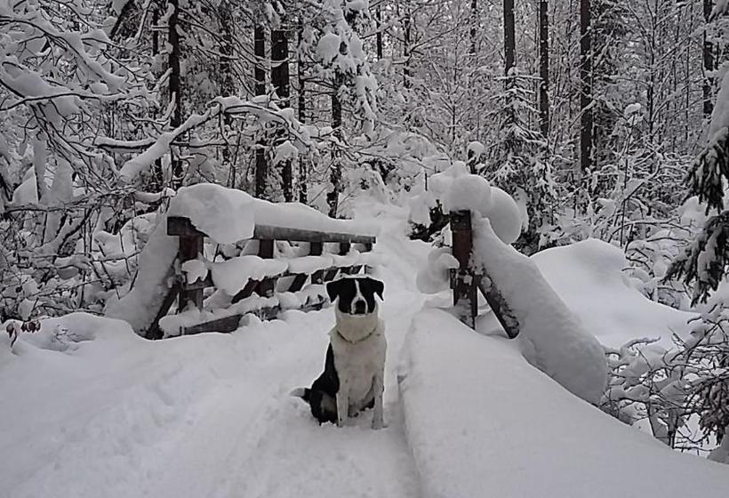 민박 Haus Höll Herta