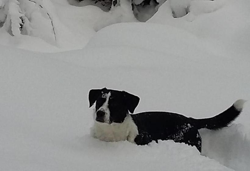 민박 Haus Höll Herta