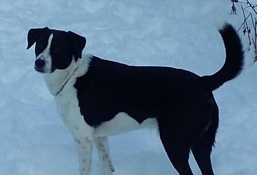 민박 Haus Höll Herta