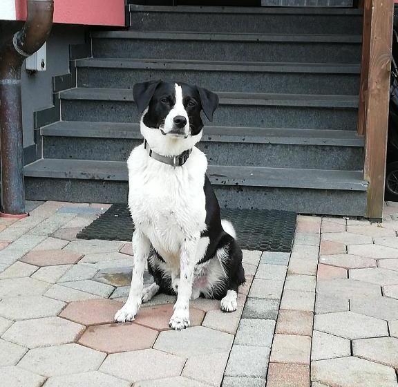 민박 Haus Höll Herta