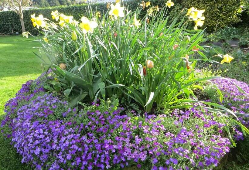 ベッドアンドブレックファースト Heritage Accommodation